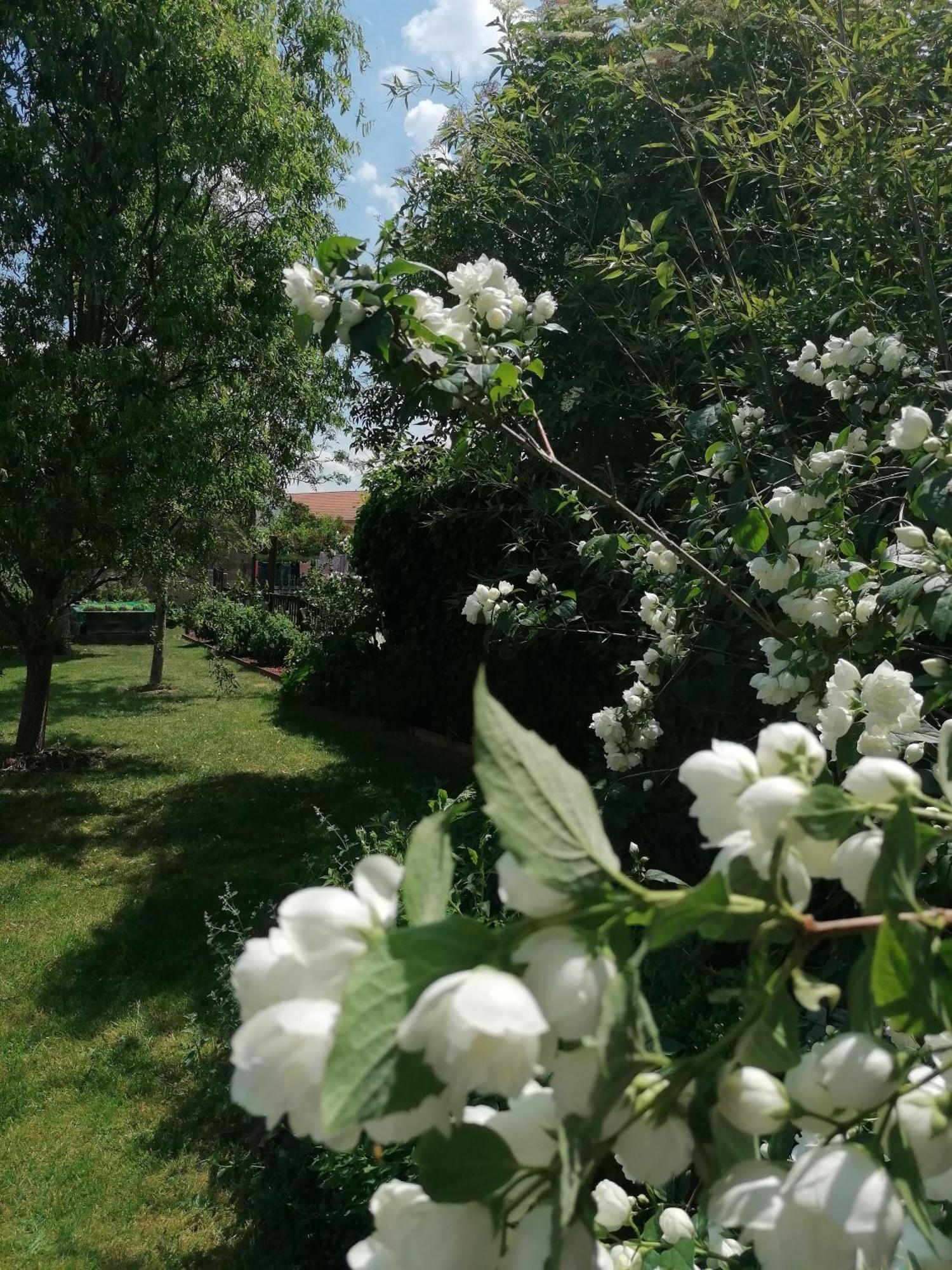 Chambre D'Hotes Les Magnolias Pontpierre Eksteriør billede